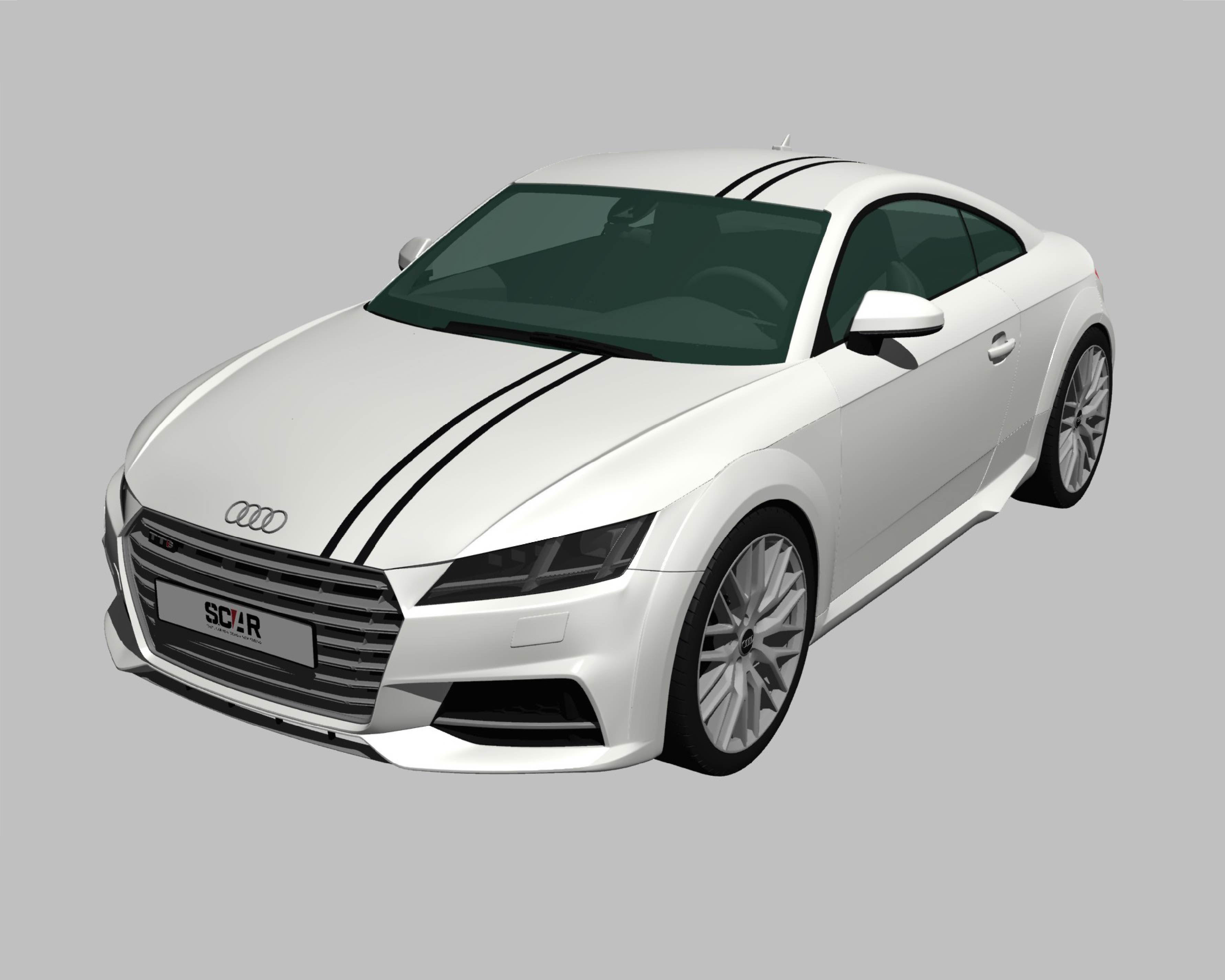 AUDI_TT_2015/ カーストライプ #1189