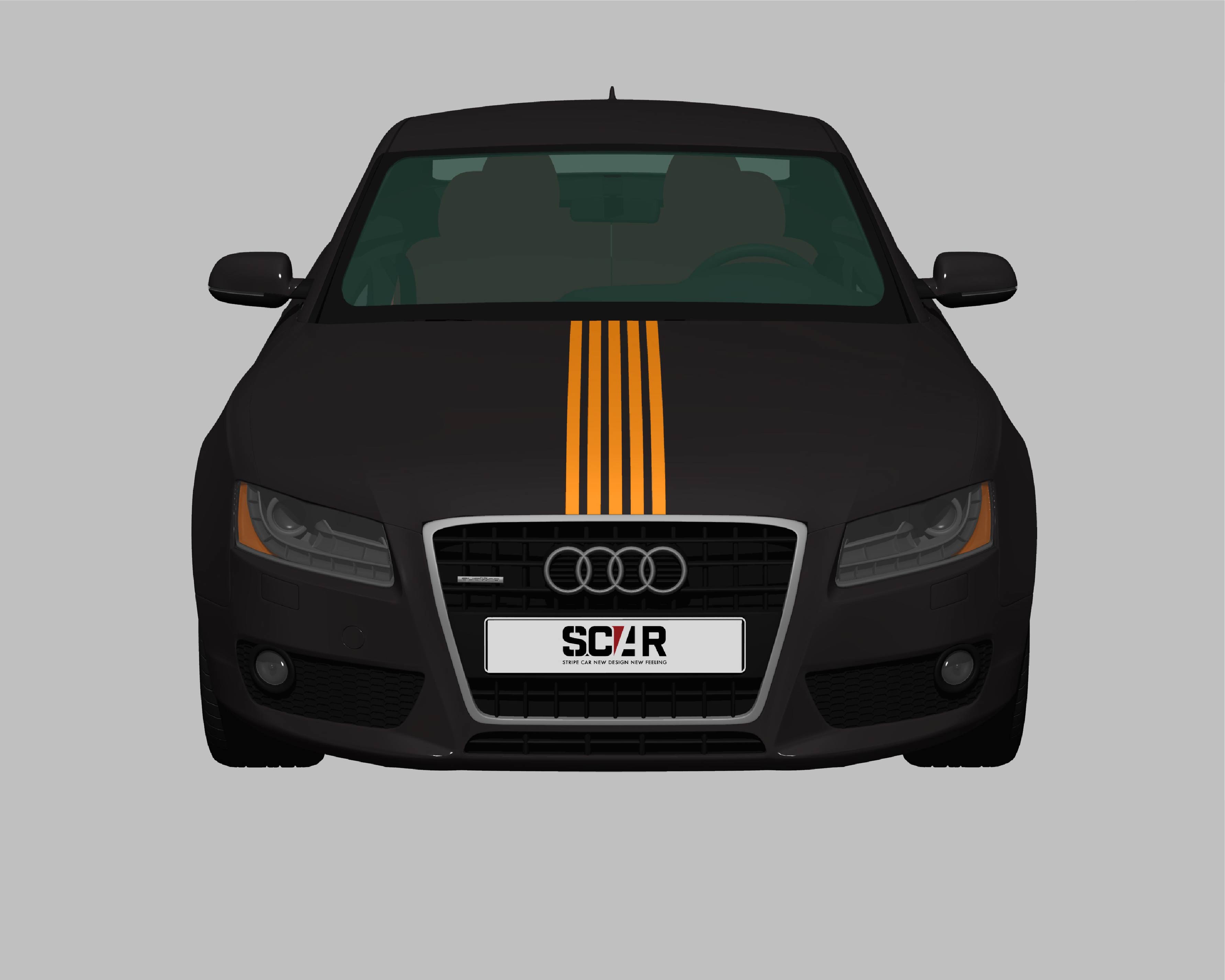 AUDI_A5_COUPE_2010/ カーストライプ #1083