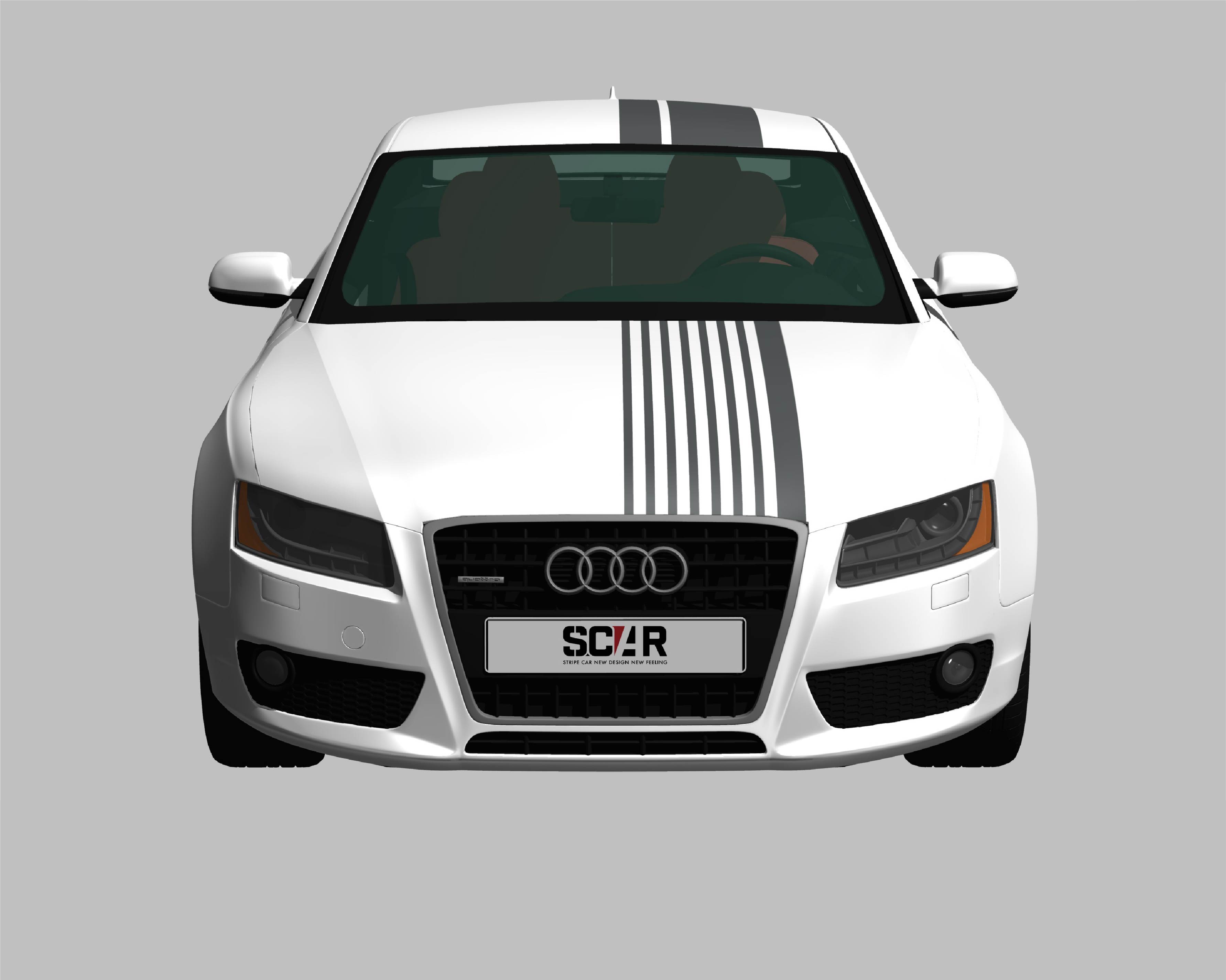 AUDI_A5_COUPE_2010/ カーストライプ #1084