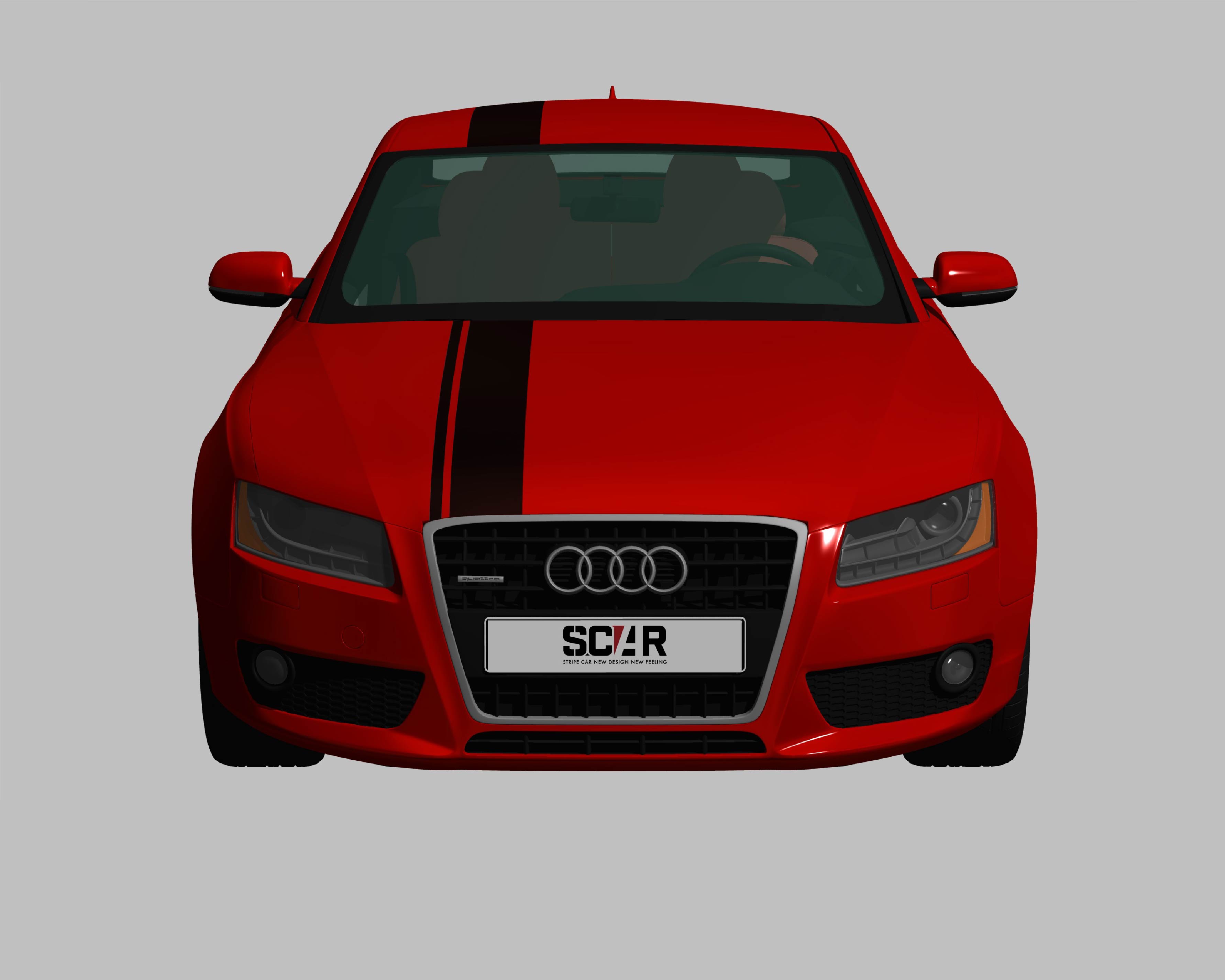 AUDI_A5_COUPE_2010/ カーストライプ #1085