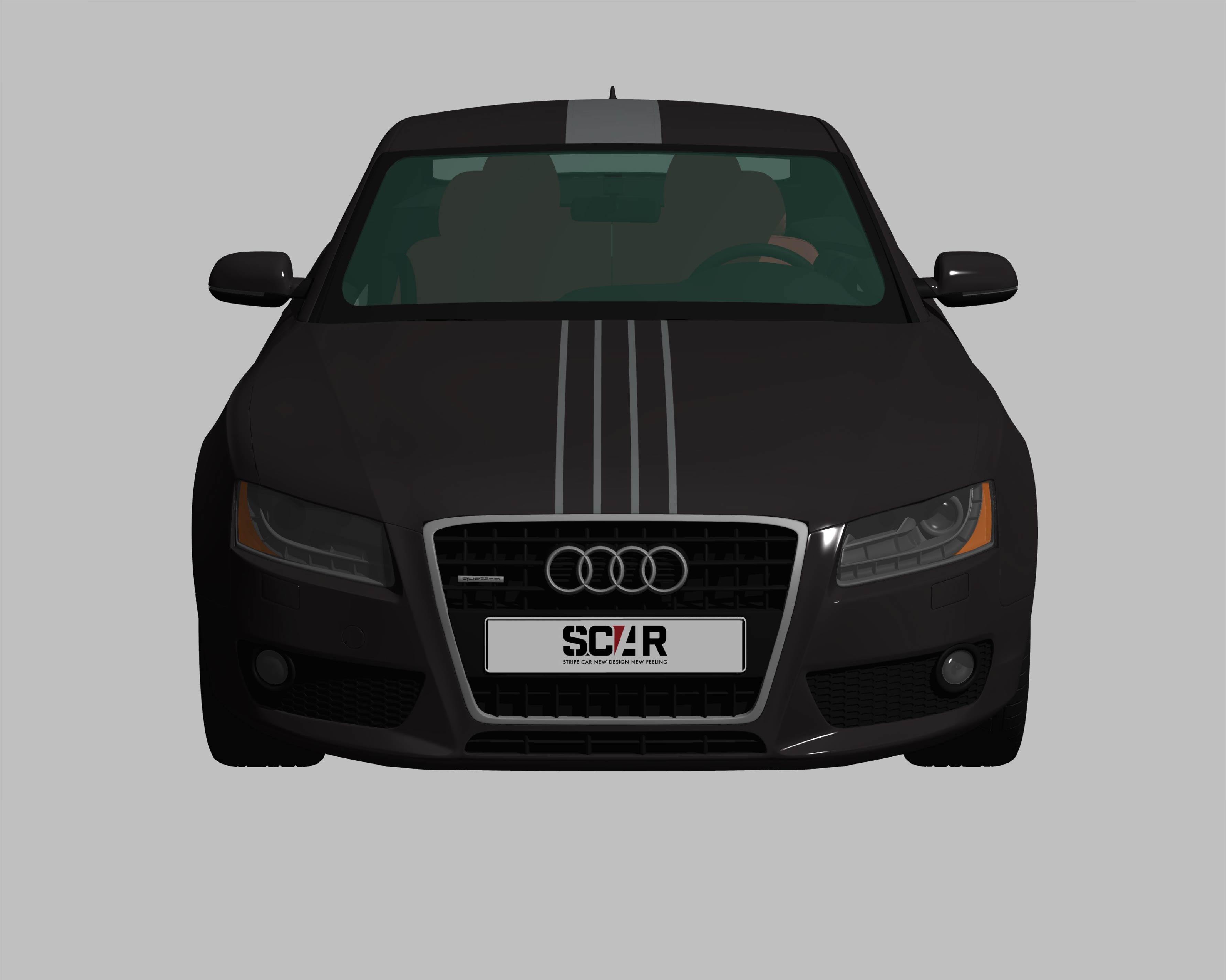 AUDI_A5_COUPE_2010/ カーストライプ #1087