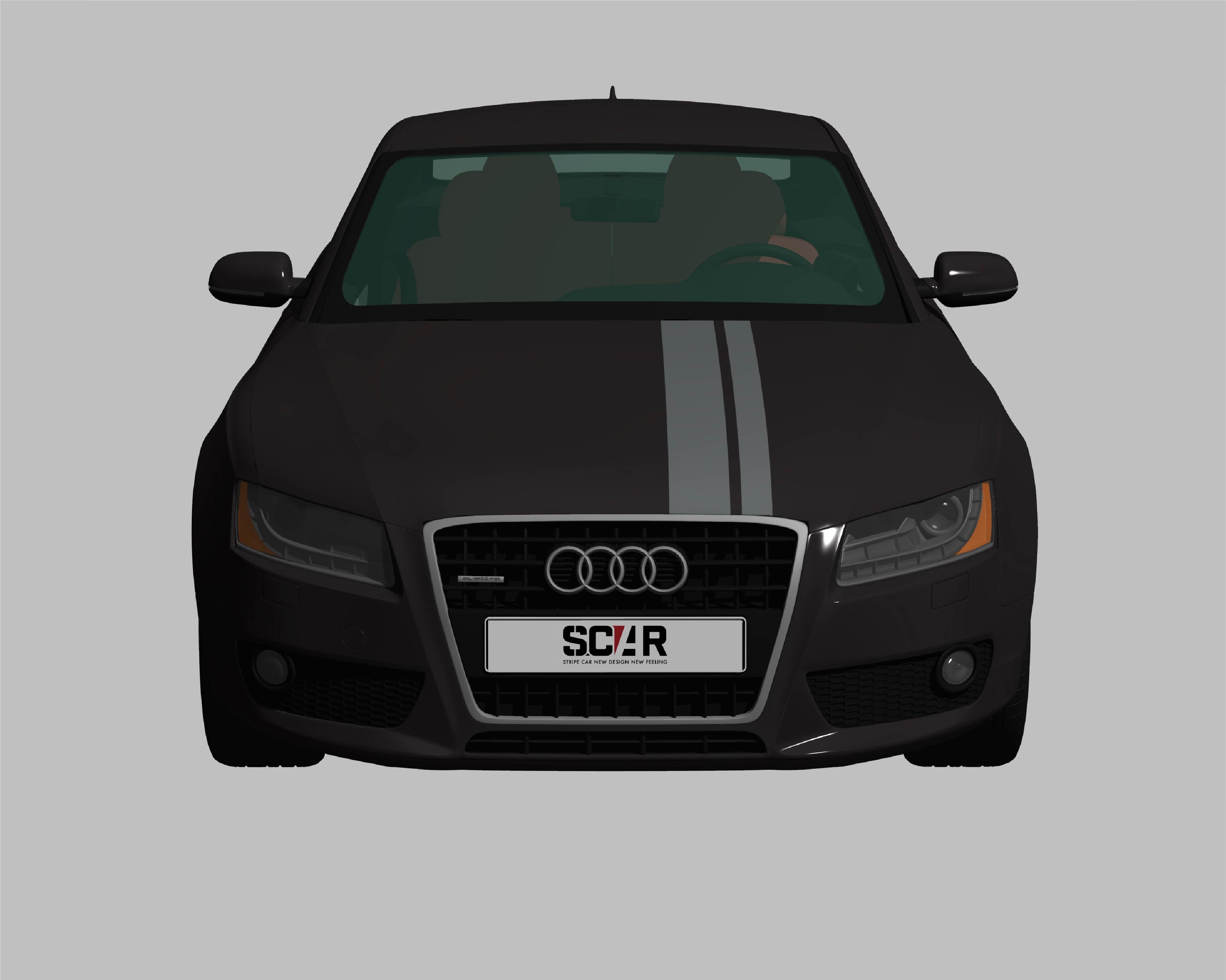 AUDI_A5_COUPE_2010/ カーストライプ #1088