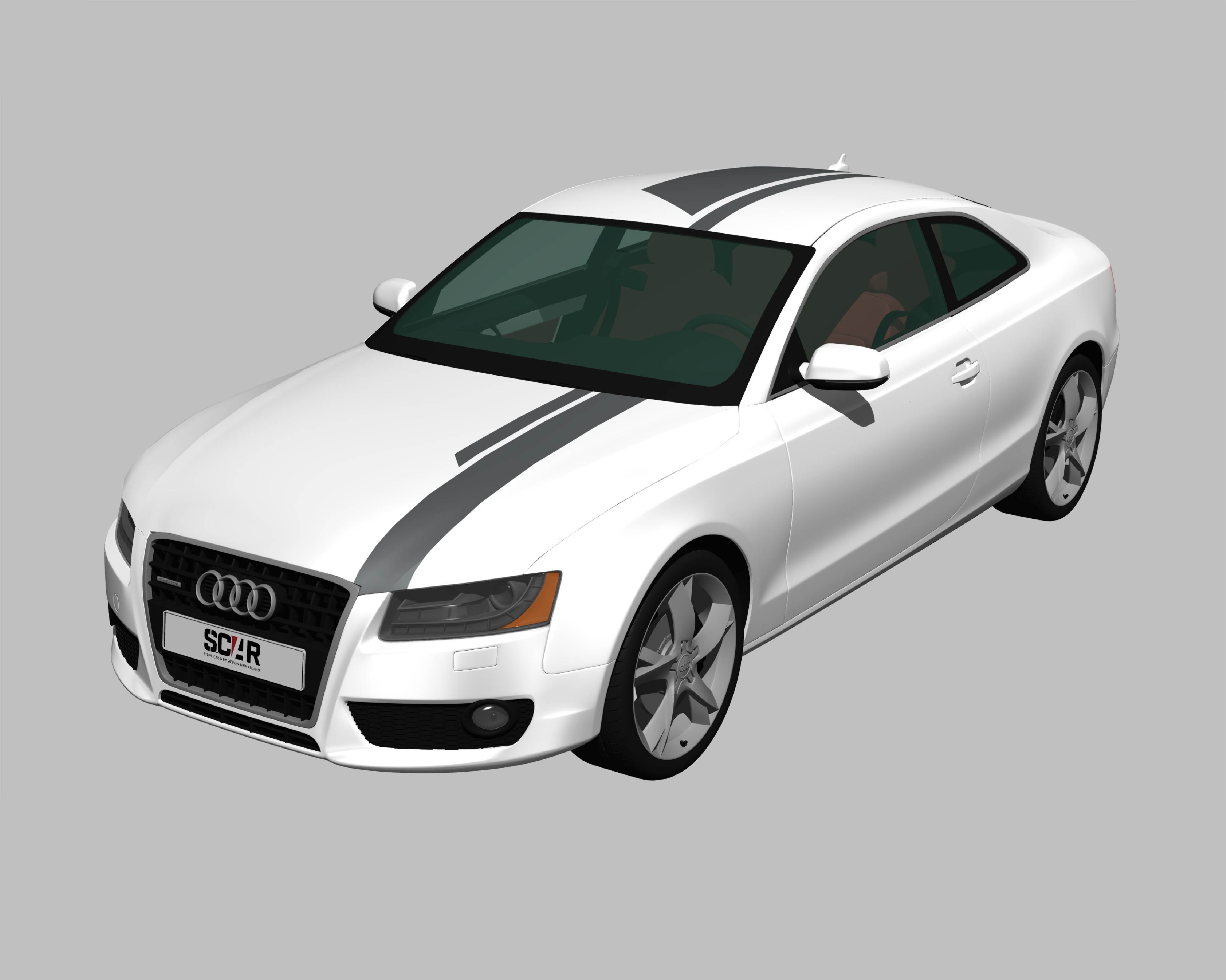 AUDI_A5_COUPE_2010/ カーストライプ #1089