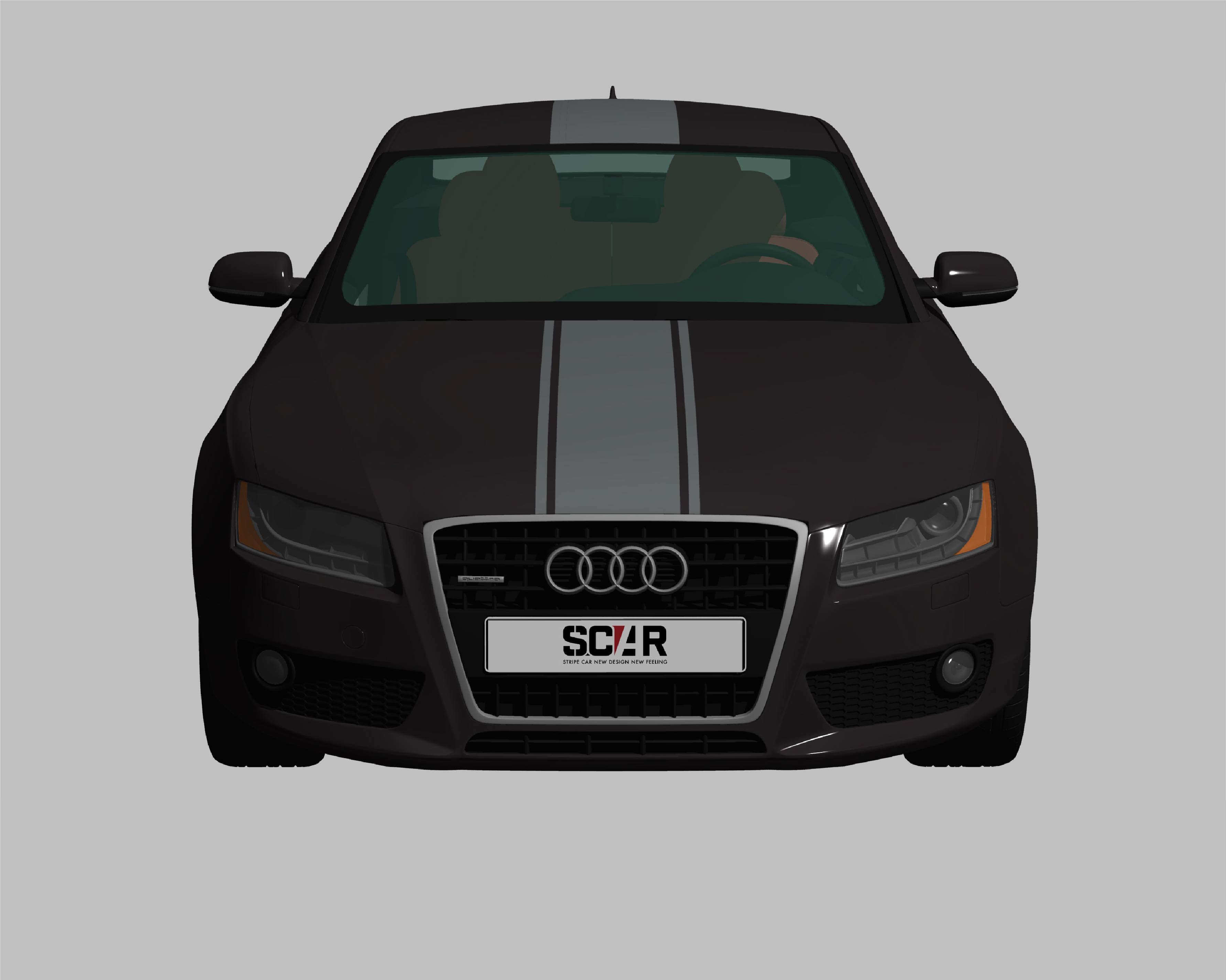 AUDI_A5_COUPE_2010/ カーストライプ #1090