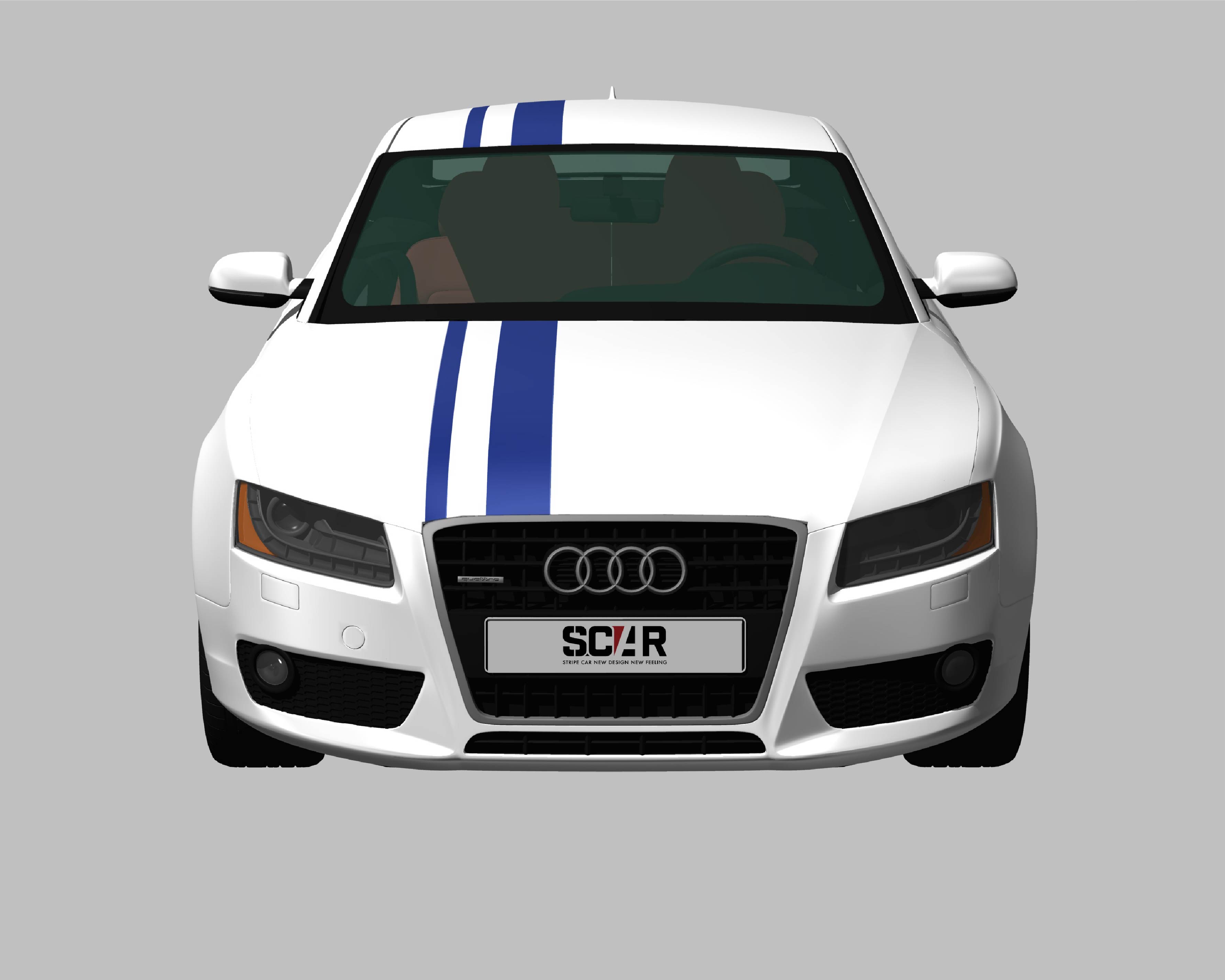 AUDI_A5_COUPE_2010/ カーストライプ #1091