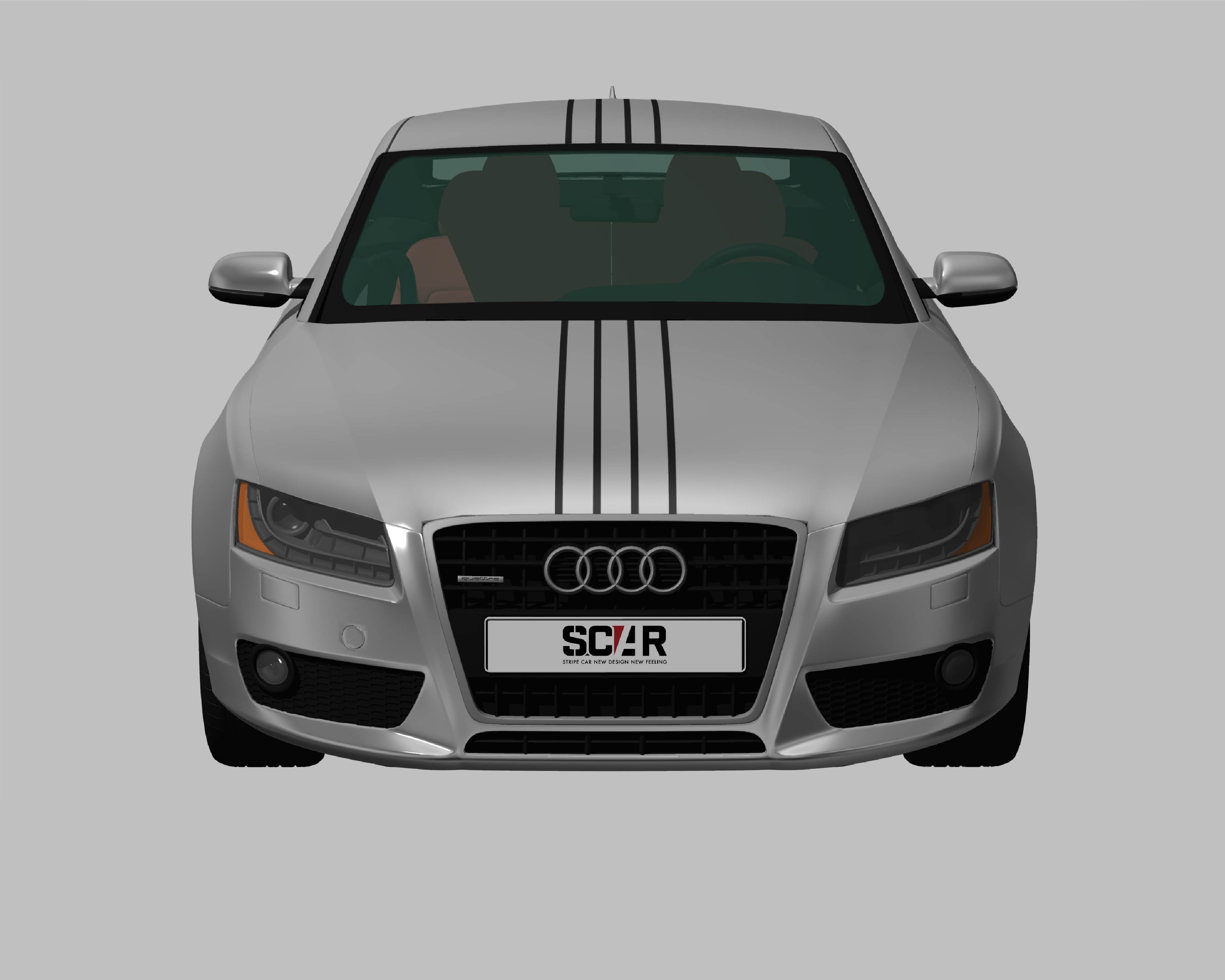 AUDI_A5_COUPE_2010/ カーストライプ #1092